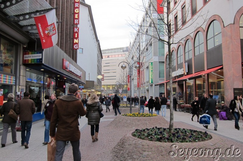 Frankfurt Shopping Street