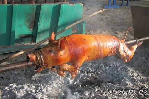 Day 2 Dinner, A whole roasted Pig 3