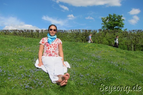 At Brühl Augustusburg Castle Park 2
