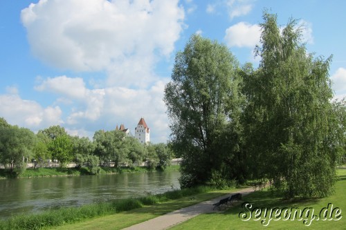 Near Donau River 3