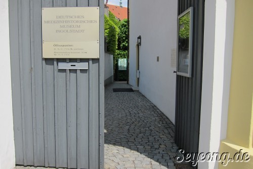 Old Anatomy University