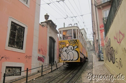 Elevador da Gloria 5