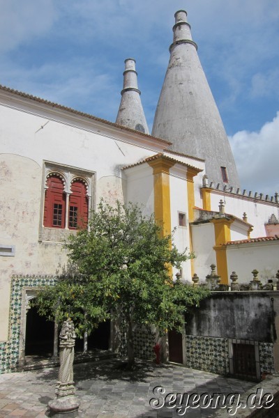 Palacio Nacional de Sintra 8