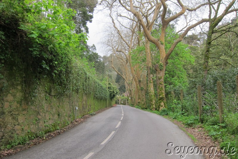 To Castelo dos Mouros