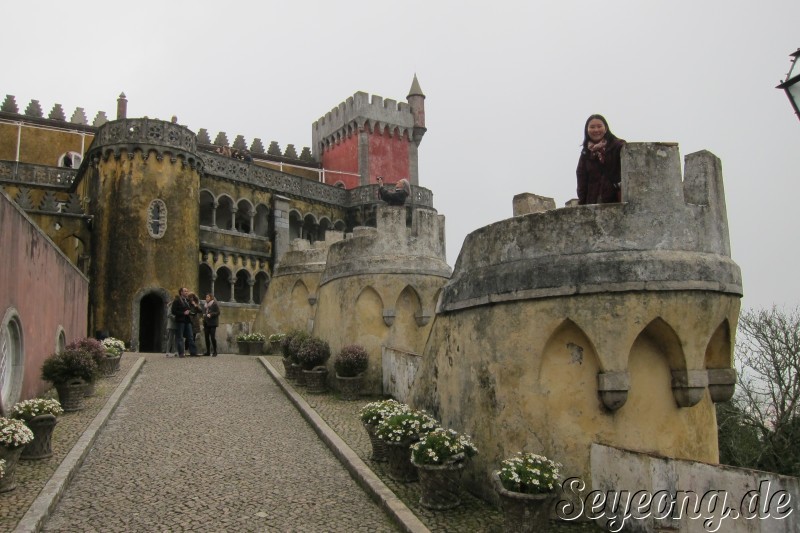 Palacio da Pena 8