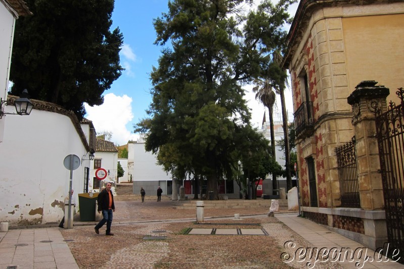 Plaza Jeronimo Paez 4