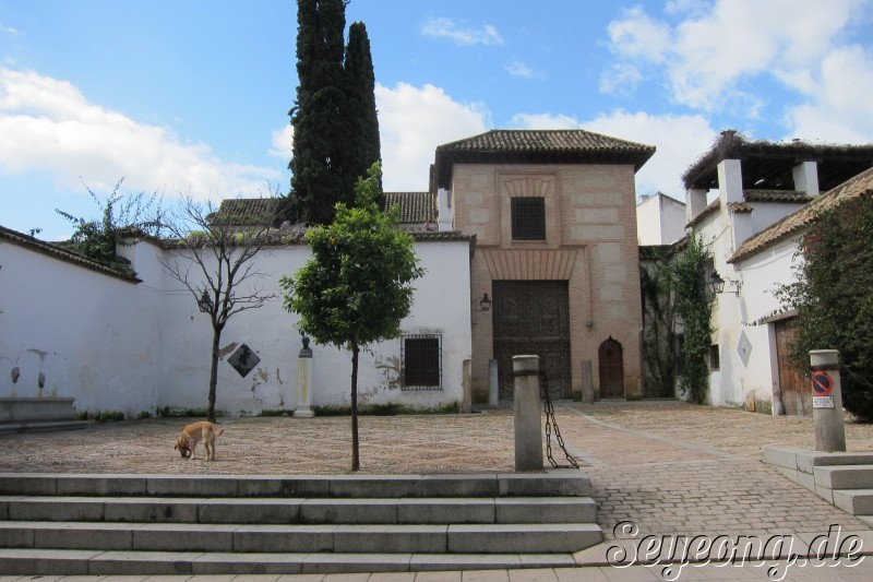 Plaza Jeronimo Paez 3