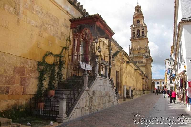 Mezquita Catedral 8