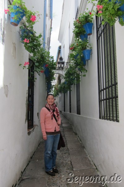 Calleja de las Flores