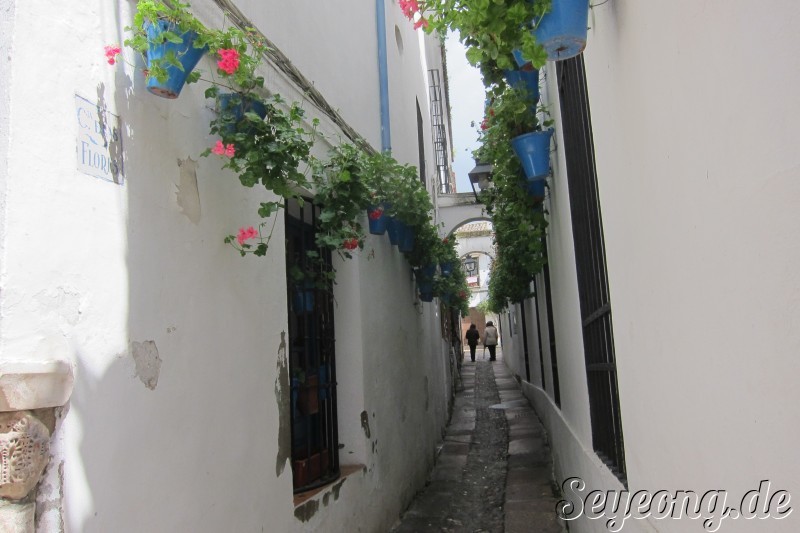 Calleja de las Flores 2