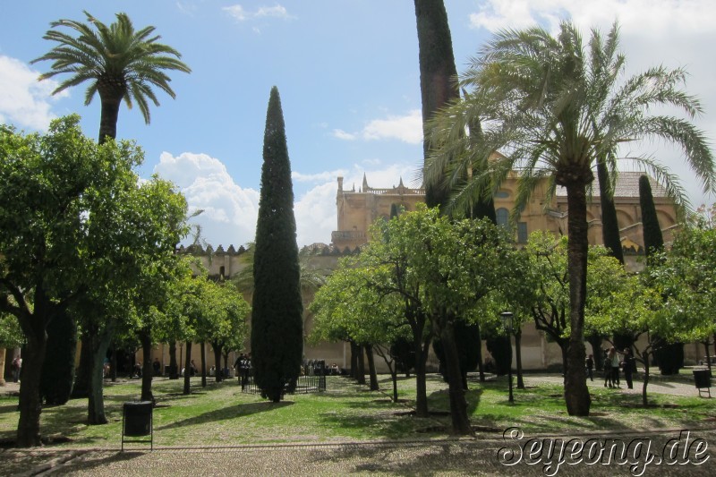 Mezquita Catedral