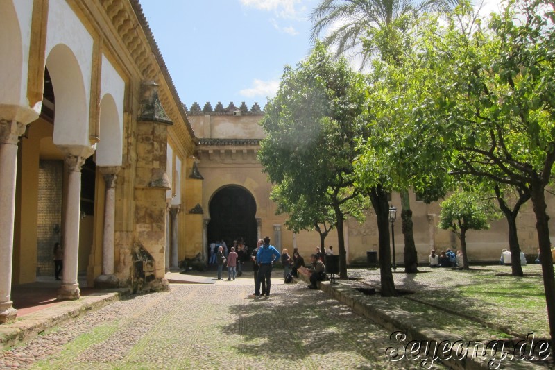 Mezquita Catedral 2
