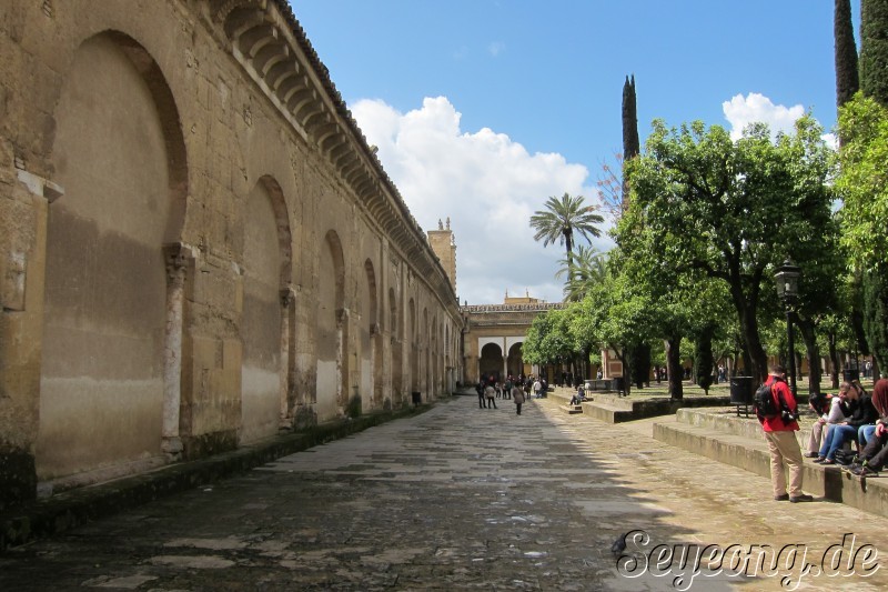 Mezquita Catedral 3