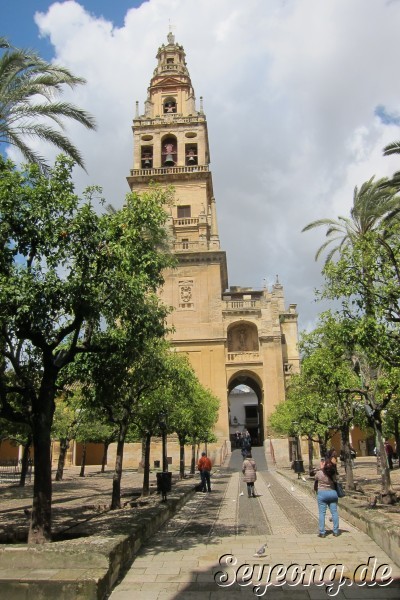 Mezquita Catedral 4