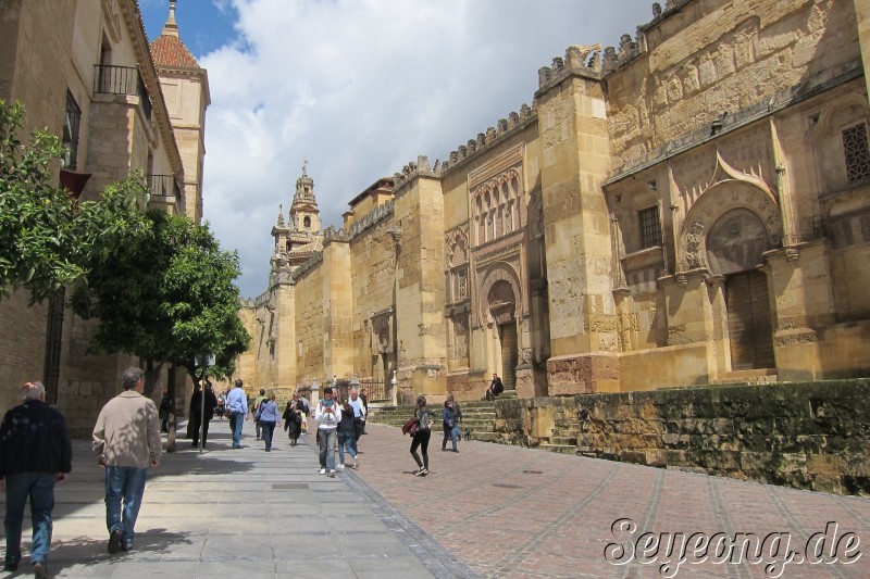 Mezquita Catedral 6