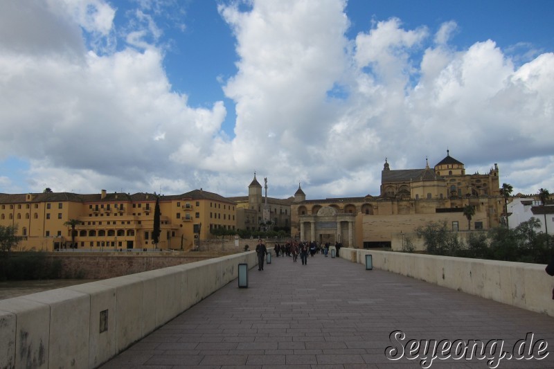 Puerto del Puente and Puente Romano and Torre de la Calahorra 3