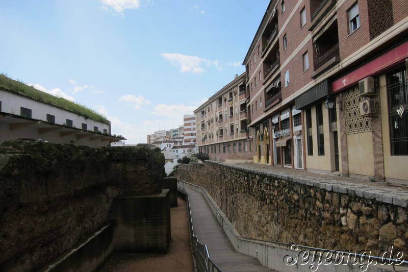 City Wall of Cordoba 2