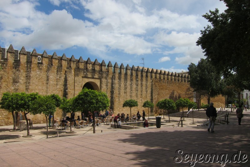 City Wall of Cordoba 3