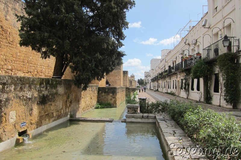 City Wall of Cordoba 5