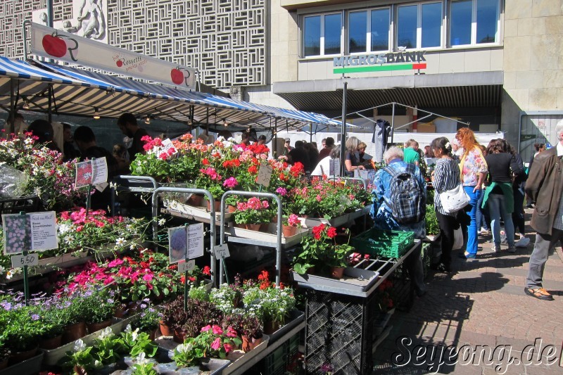 Mart at Zürich