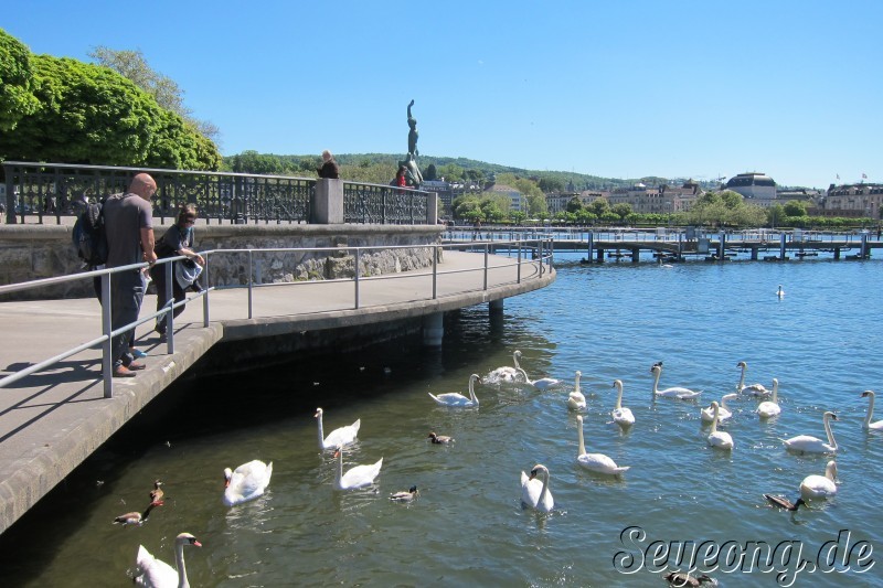 Zürich Lake 2