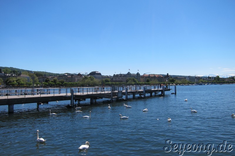 Zürich Lake 3