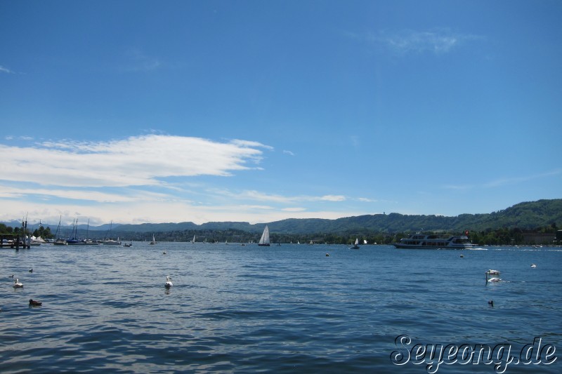Sunshine Zürich Lake