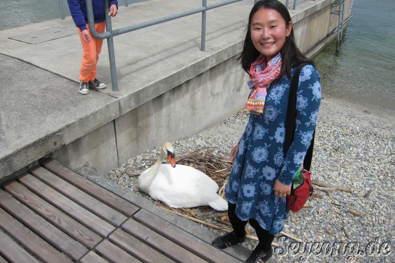 At Geneve with a Swan
