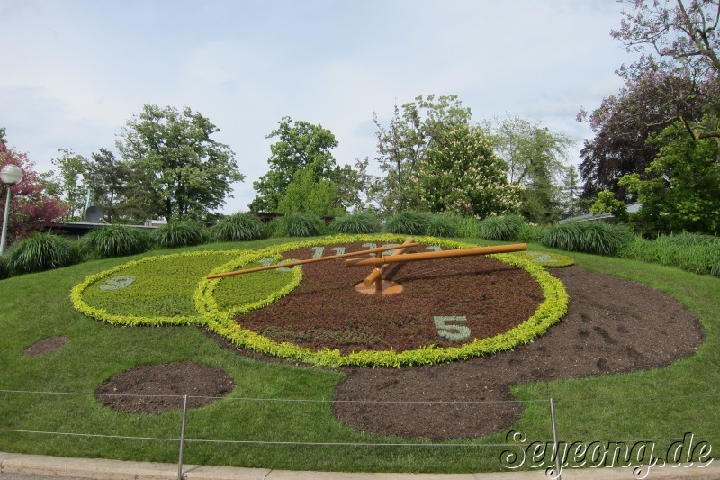 The Flower Clock