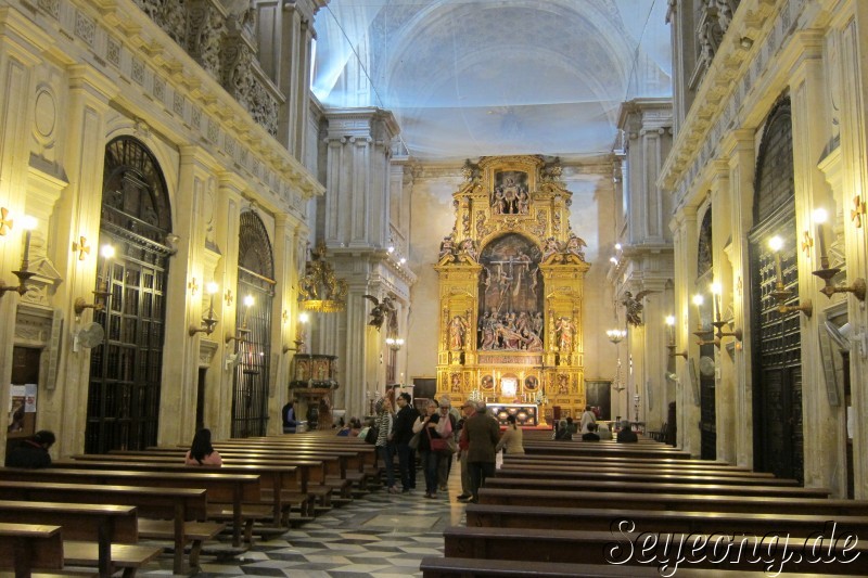 Catedral y Giralda 3