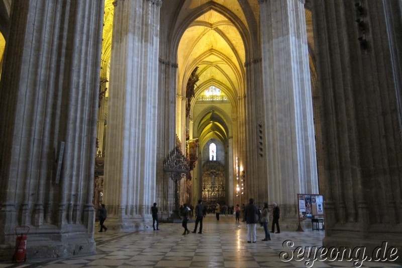 Catedral y Giralda 7