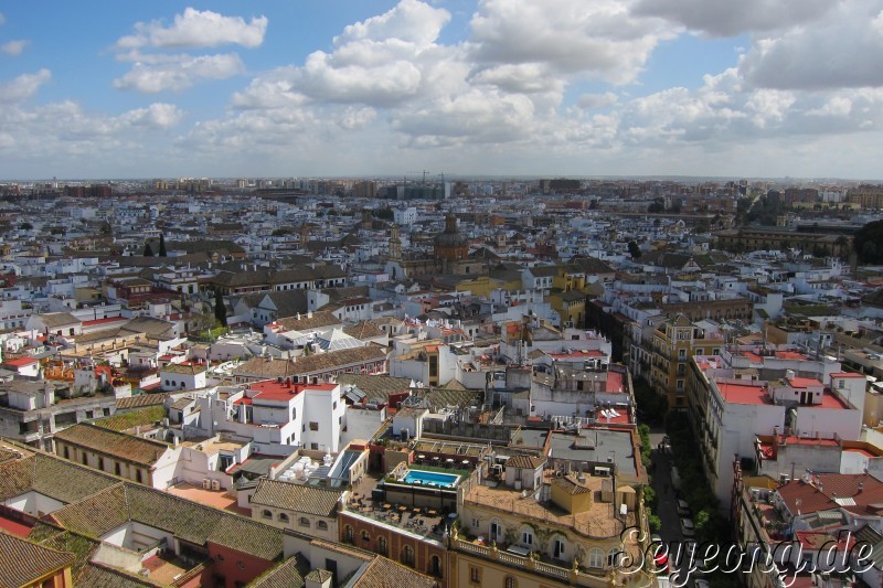 View of Sevilla 3