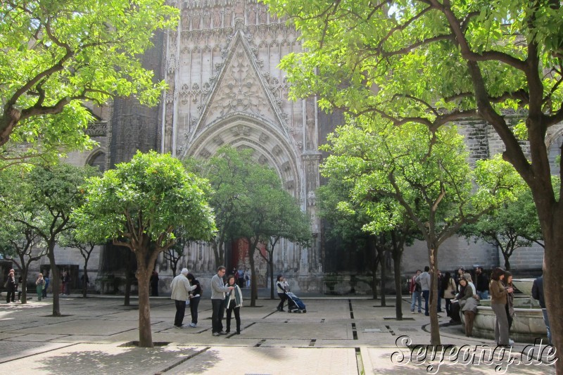 Catedral y Giralda 12