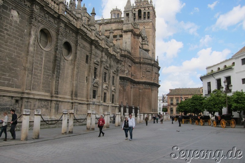 Catedral y Giralda