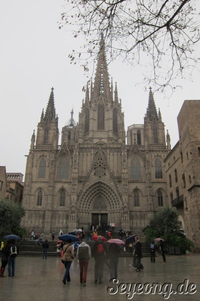 Catedral 2