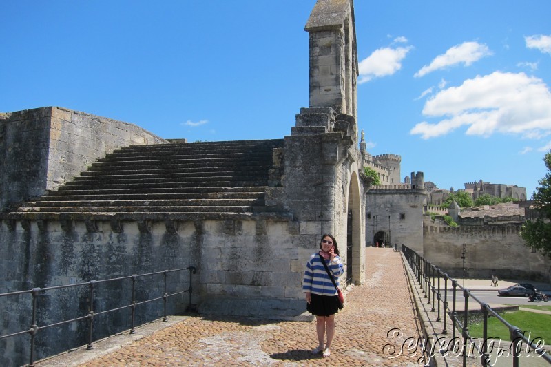 Pont d'Avignon 4