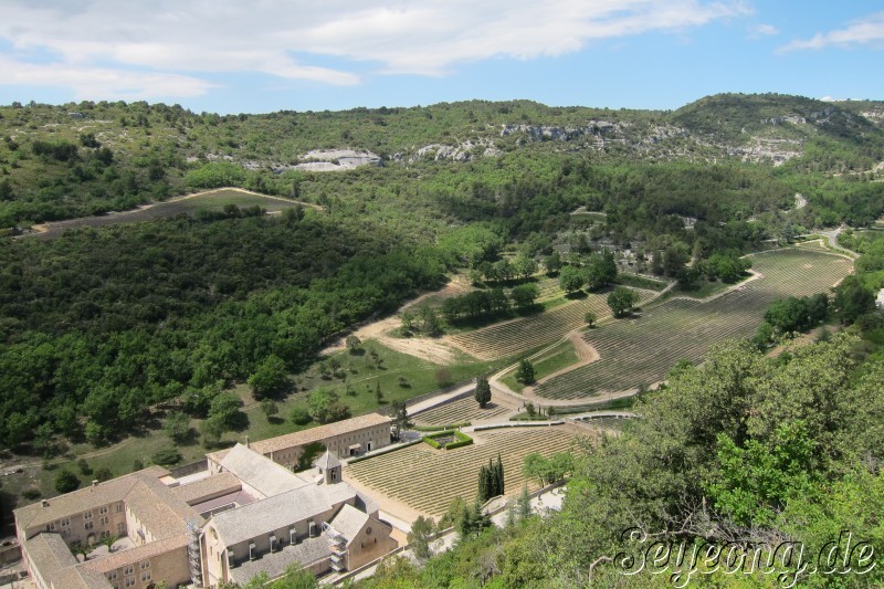 Abbaye Notre-Dame de Senanque