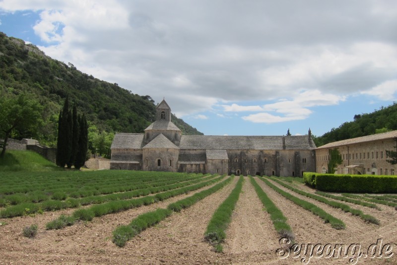 Abbaye Notre-Dame de Senanque 2