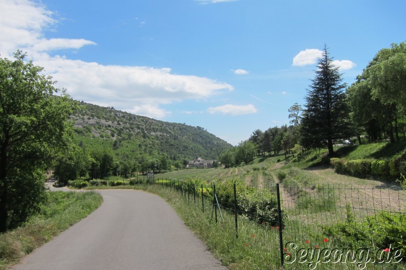 To Abbaye Notre-Dame de Senanque 2