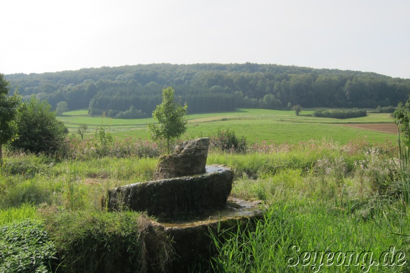 Fränkische Schweiz Walking Tour 8