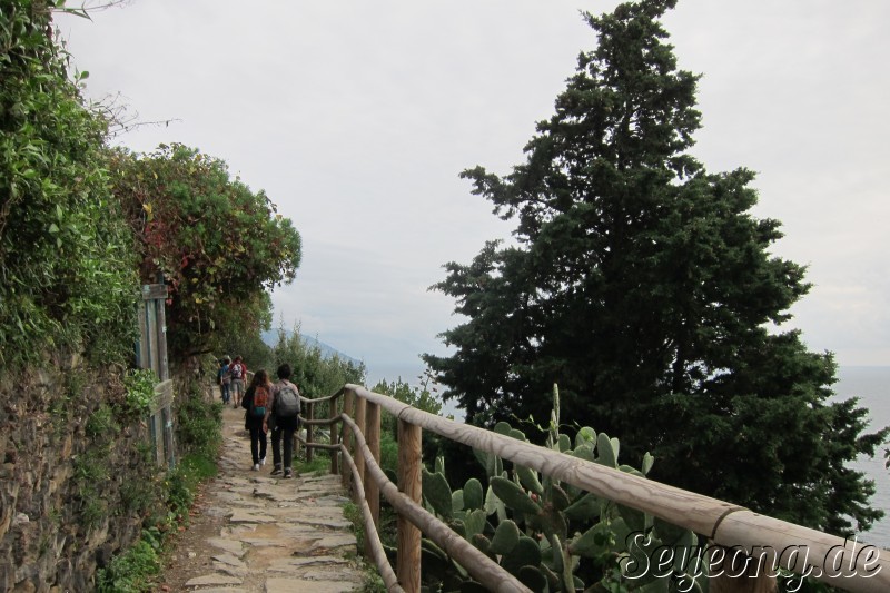 Cinque Terre 12