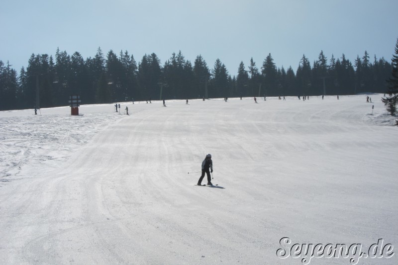 Ski Area Winklmoosalm 13