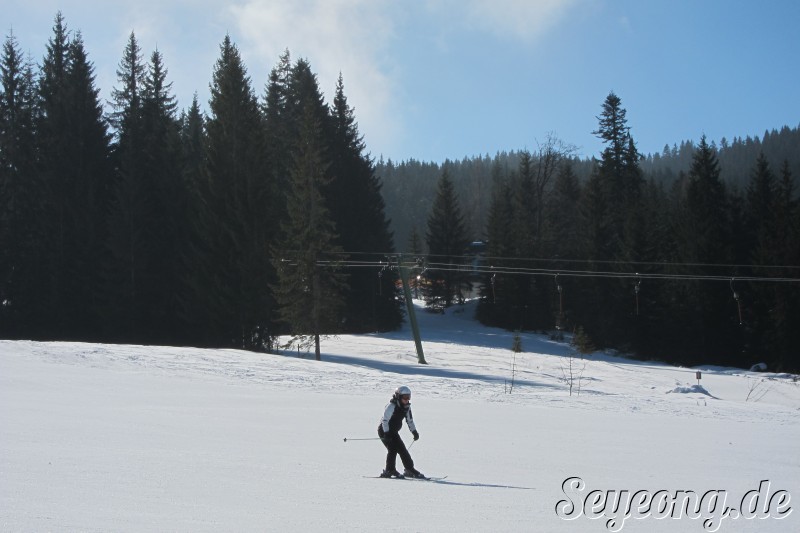 Ski Area Winklmoosalm 14
