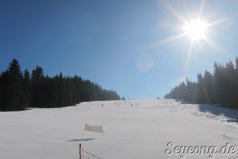 Ski Area Winklmoosalm 16