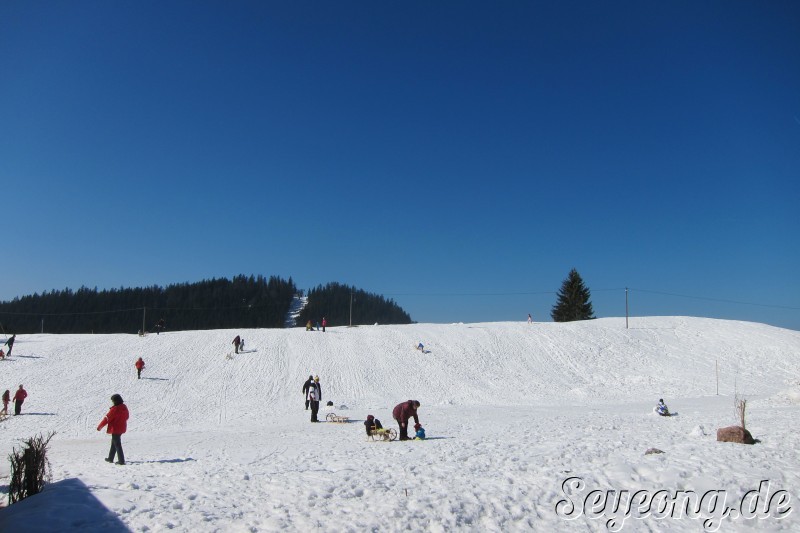 Ski Area Winklmoosalm 21