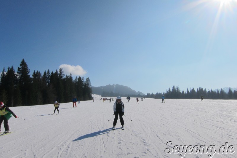 Ski Area Winklmoosalm 3