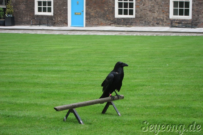 Tower of London 9