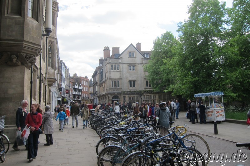 Cambridge 9
