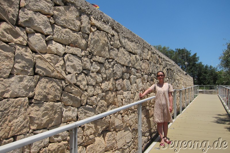 Tarxien Temples 2