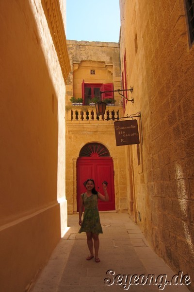 Mdina 9